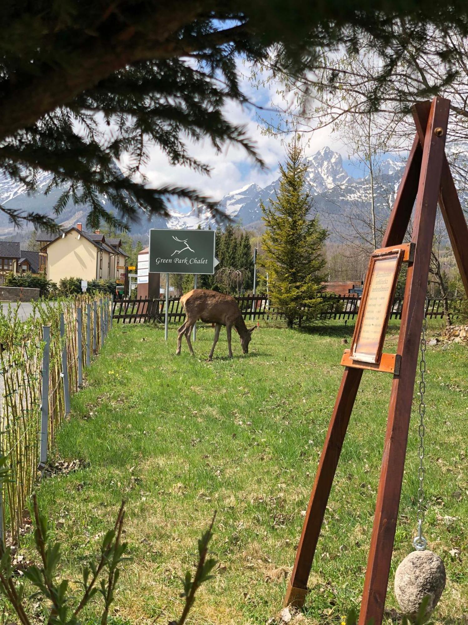Chalet Green Park Stará Lesná Eksteriør billede